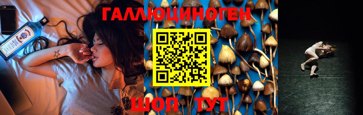 Псилоцибиновые грибы мицелий  Вход с VPN  Псилоцибиновые грибы ЛСД  Бугуруслан 